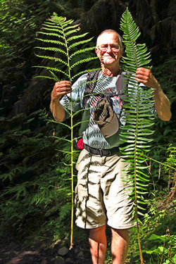 Mike Breiding, aged 62, Frond Fondling in the Hoh River Rain Forest, 2014
